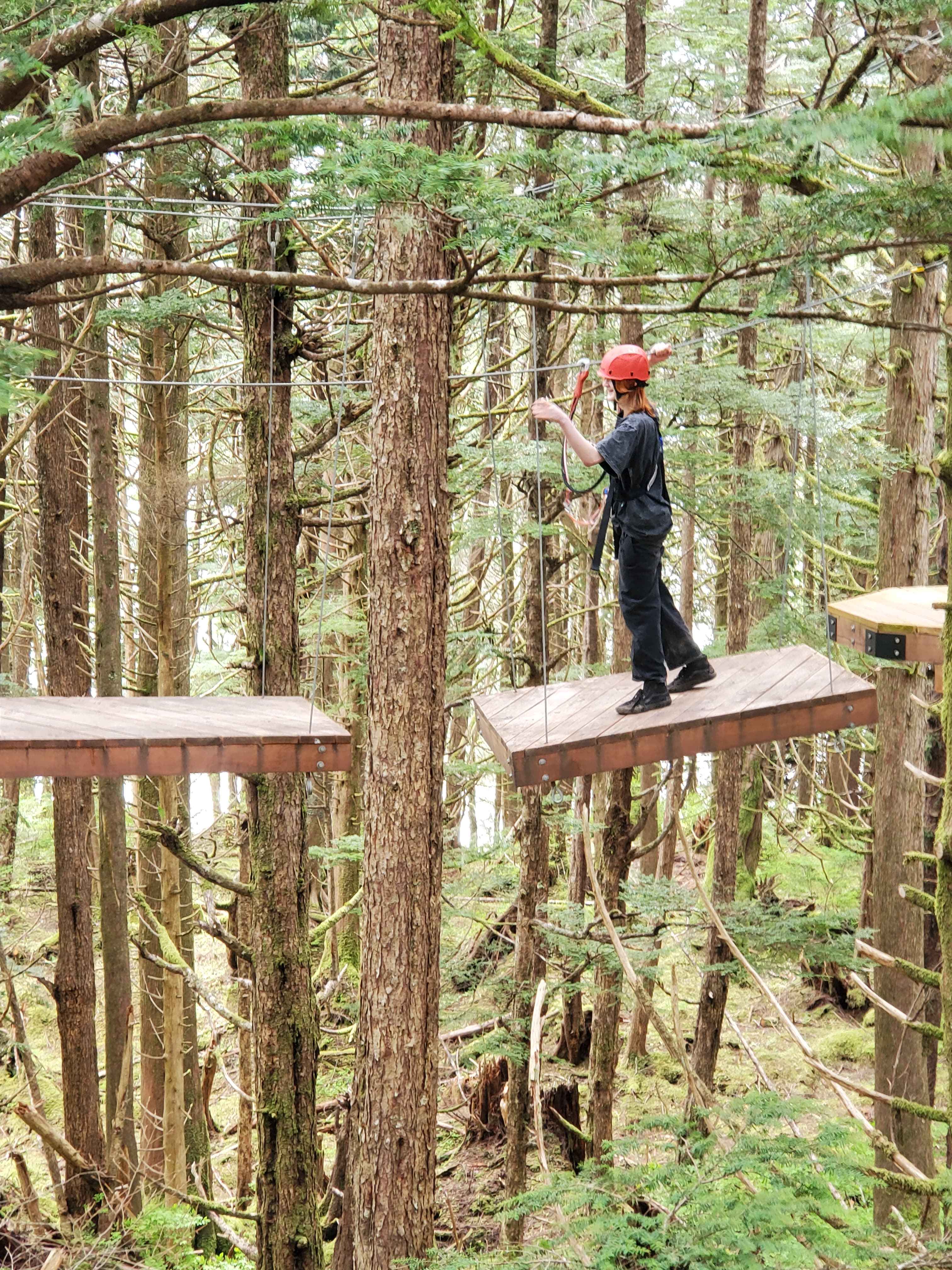 Zipline adventure through Sitka rainforest canopy